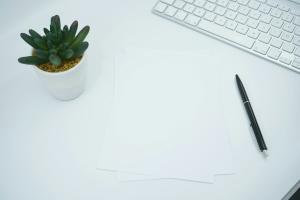 green cactus plant on white table