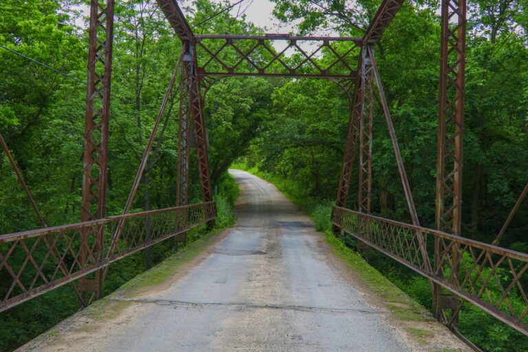 pont en bois brun vide pendant la journée